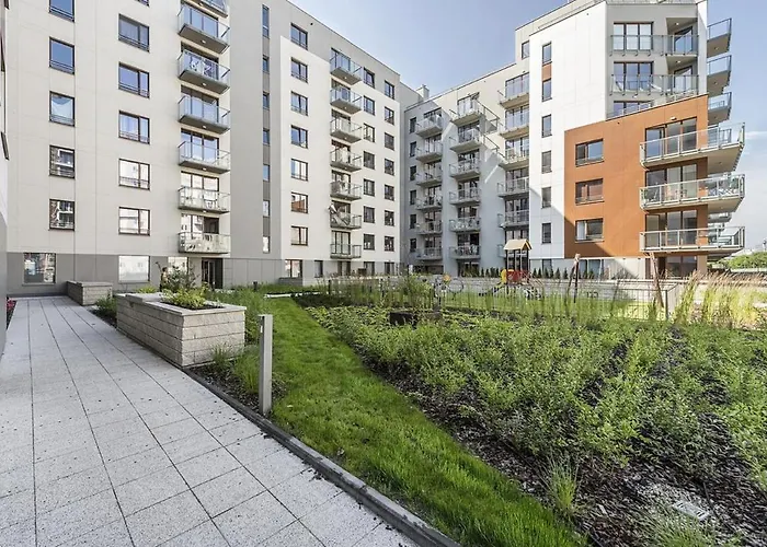 Moduo By Executive *